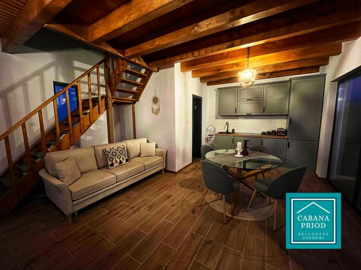 Cabana Priod Coronini Pescari Екстериор снимка