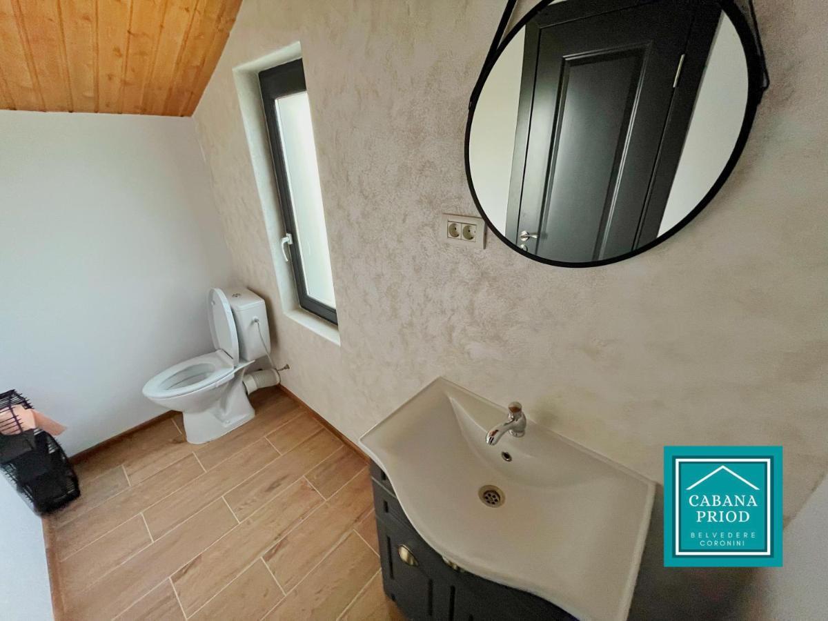 Cabana Priod Coronini Pescari Екстериор снимка