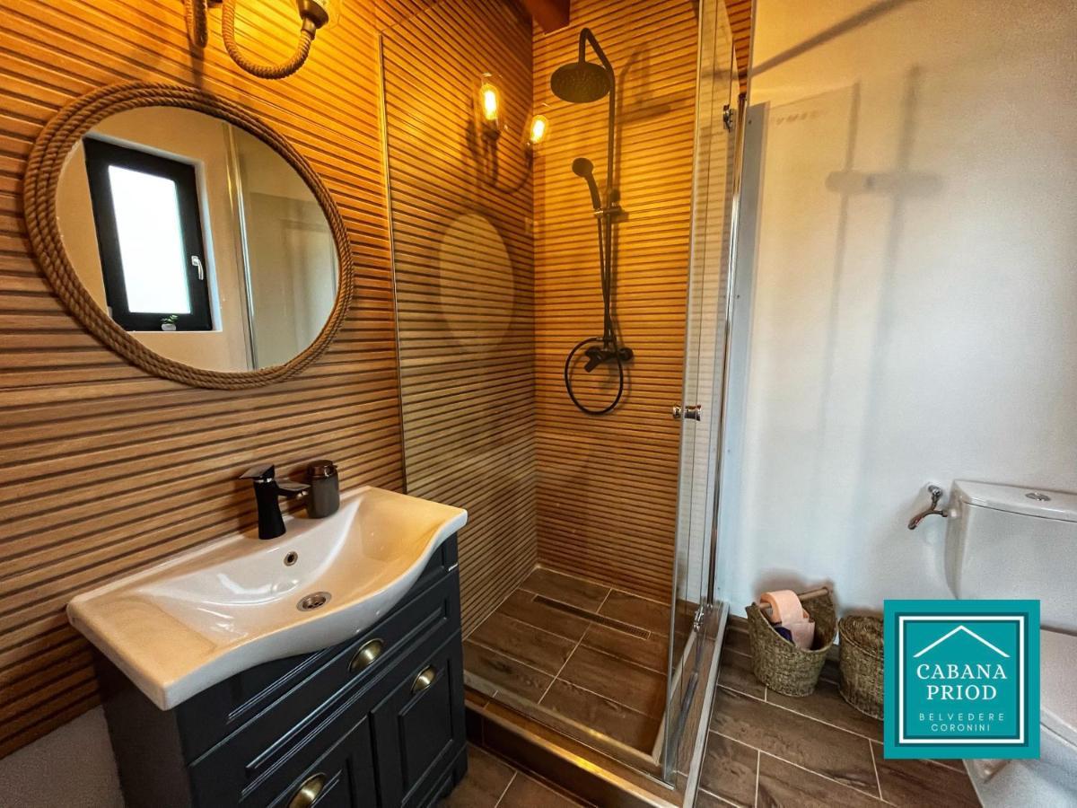 Cabana Priod Coronini Pescari Екстериор снимка