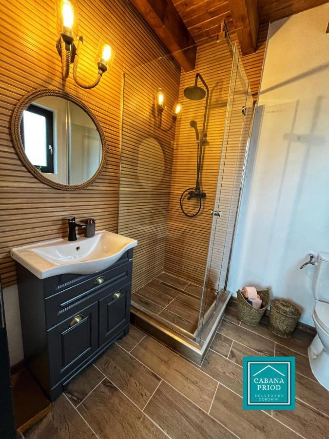 Cabana Priod Coronini Pescari Екстериор снимка