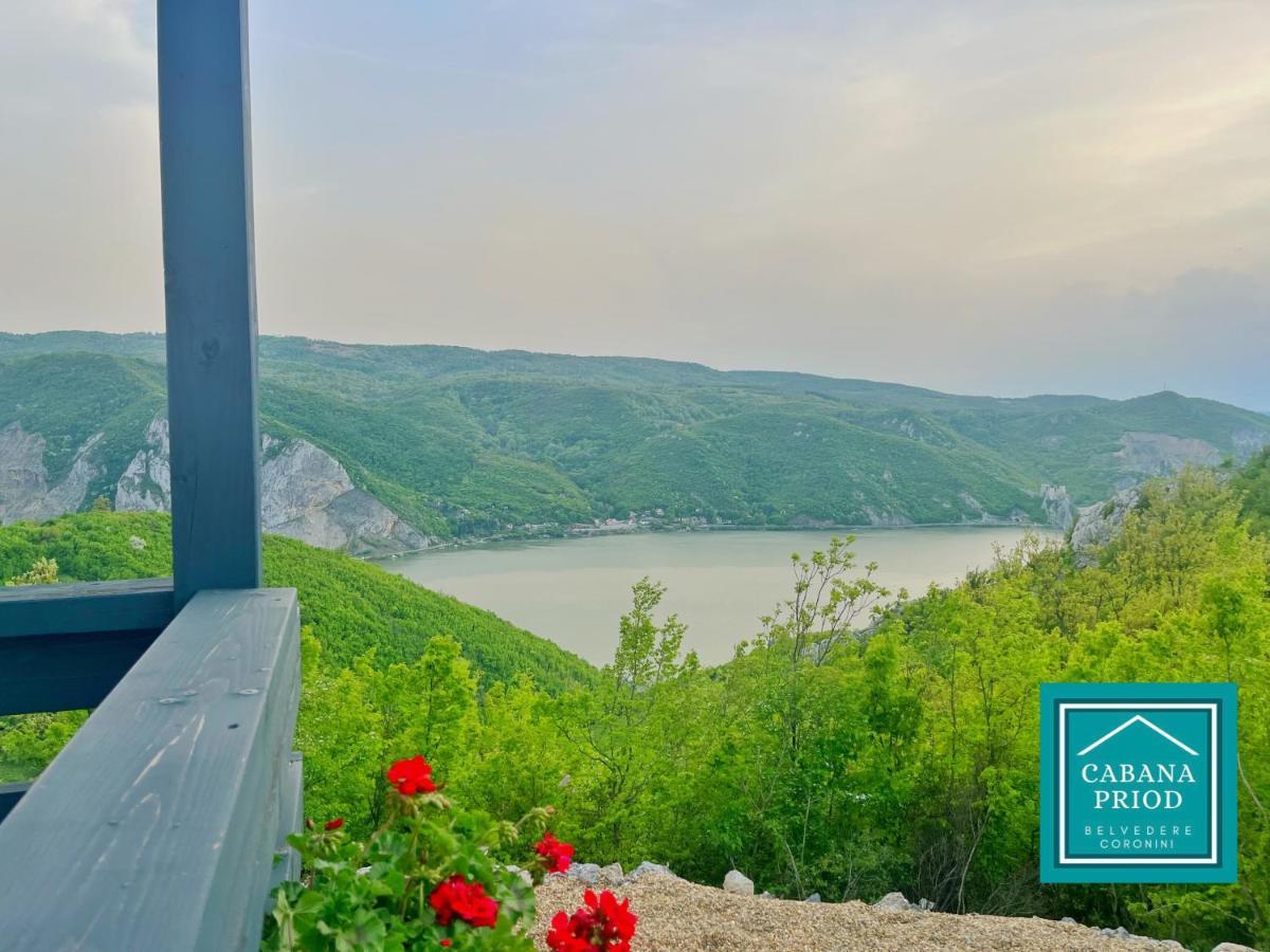 Cabana Priod Coronini Pescari Екстериор снимка