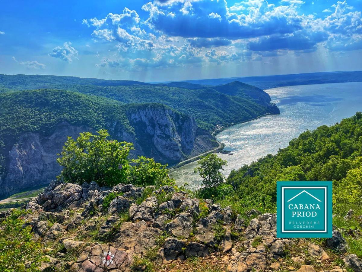 Cabana Priod Coronini Pescari Екстериор снимка