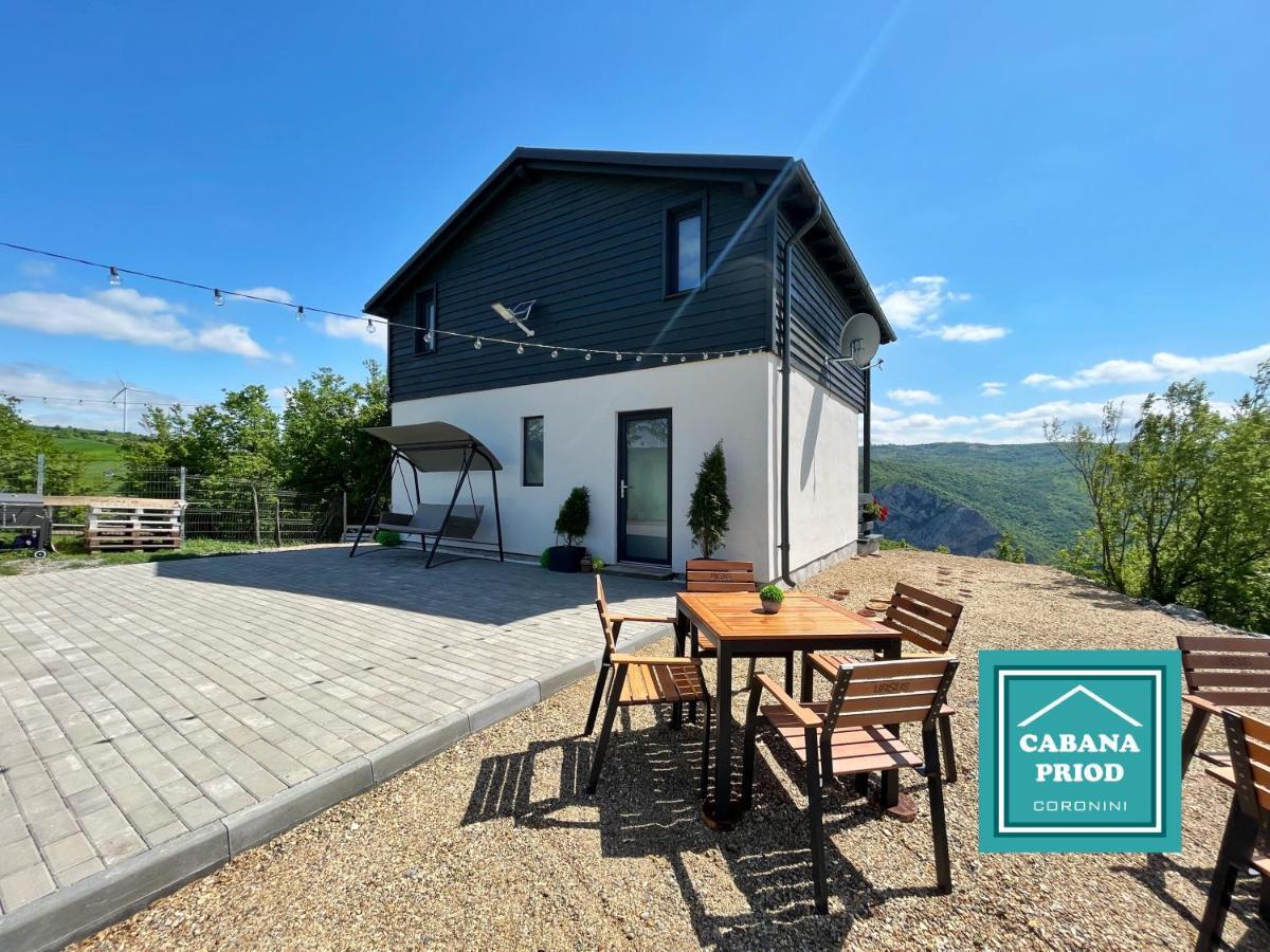 Cabana Priod Coronini Pescari Екстериор снимка