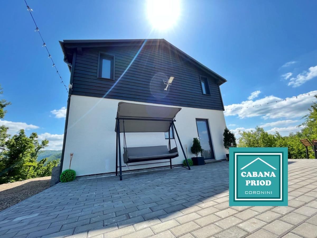 Cabana Priod Coronini Pescari Екстериор снимка