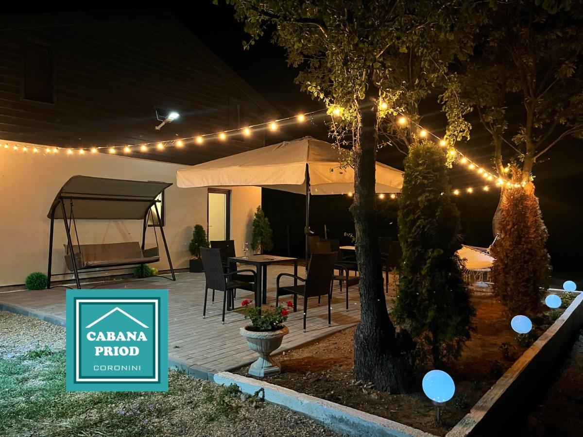 Cabana Priod Coronini Pescari Екстериор снимка