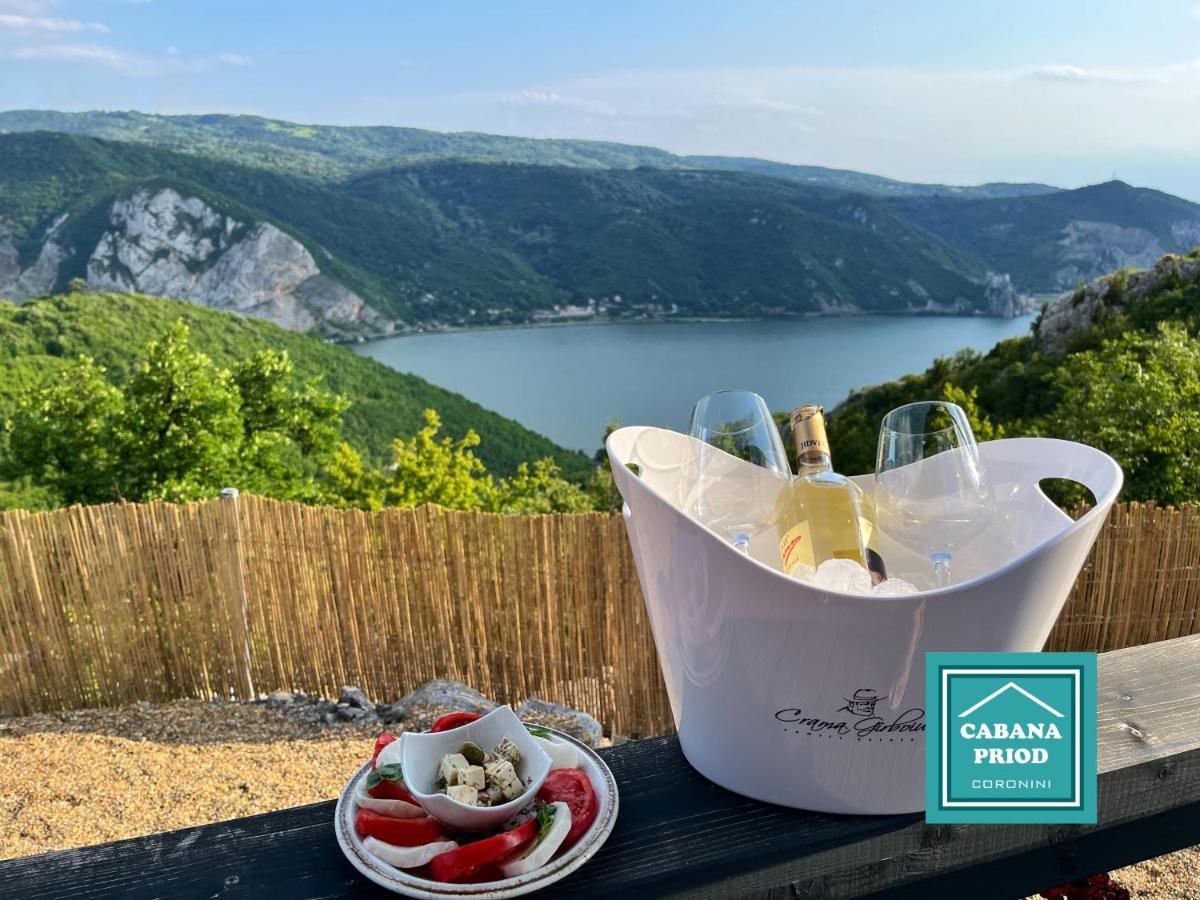Cabana Priod Coronini Pescari Екстериор снимка