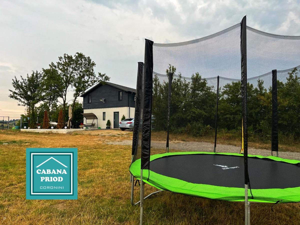 Cabana Priod Coronini Pescari Екстериор снимка