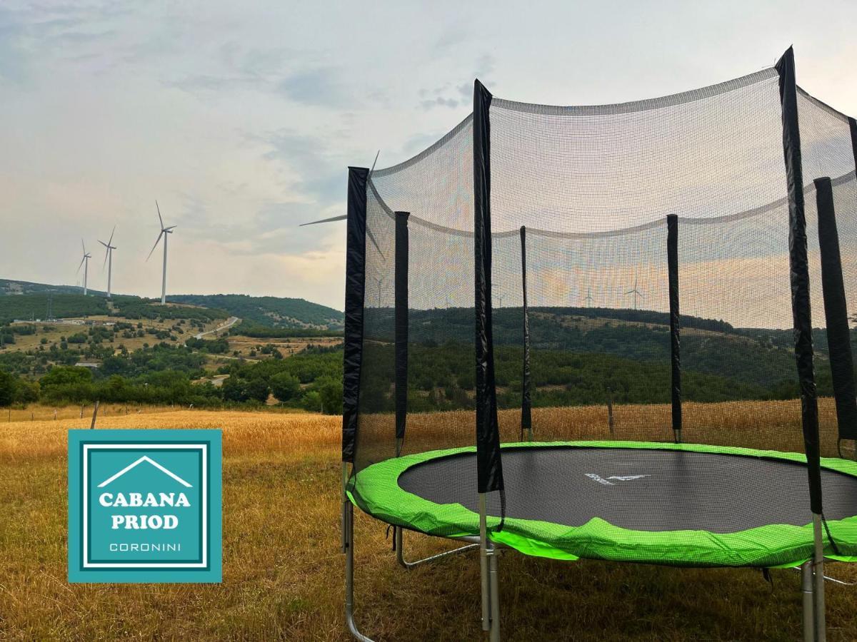 Cabana Priod Coronini Pescari Екстериор снимка